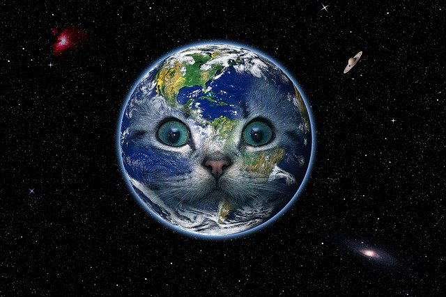 宇宙猫 スペースキャット とは フリー背景素材を使って自作してみた